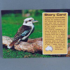 Vintage Postcard - Australian Kookaburra - Nu Color Vue